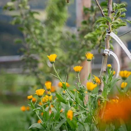 Wohlfuehl Ferien-heim 4 Sterne 4* ツェル・アム・ツィラー