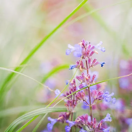 Wohlfuehl Ferien-heim 4 Sterne